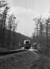 Hungary, Budapest II., Gyermekvasút (Úttörővasút) a Hárs-hegy állomásnál., 1956, Szepesfalvy Gábor, Children's railway, Budapest, Fortepan #123869