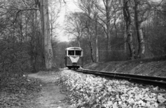 Hungary, Budapest II., Gyermekvasút (Úttörővasút) a Hárs-hegy állomás közelében., 1956, Szepesfalvy Gábor, Children's railway, Budapest, Fortepan #123870