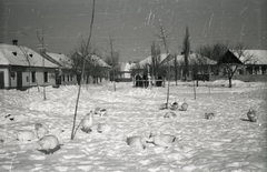 Hungary, Jászdózsa, Szent Mihály tér., 1940, Lenkey Márton, village, winter, snow, goose, Fortepan #124048