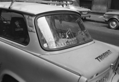 1988, Urbán Tamás, zászló, Trabant-márka, Trabant 601, Fortepan #124789