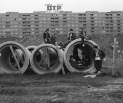 Magyarország, Óbuda, Budapest III., Flórián tér, a háttérben a Szőlő utcai sávház (Faluház)., 1982, Urbán Tamás, Budapest, punk, Fortepan #125249