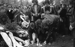 Hungary, Budapest IV., Megyeri úti temető. A felvétel Radics Béla rockzenész, gitáros temetésén készült., 1982, Urbán Tamás, funeral, Budapest, wreath, Fortepan #125814