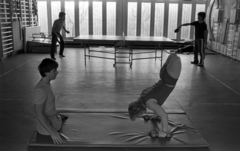 Hungary, Budapest XII., Szanatórium utca 19., Országos Orvosi Rehabilitációs Intézet., 1985, Urbán Tamás, exercise, disabled, gymnastic mat, wall-bars, table tennis table, amputation, handstand, Budapest, feat, Fortepan #125821