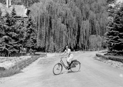 Magyarország, Balatonkenese, Székesfővárosi Tisztviselők Üdülője (később Honvéd üdülő)., 1954, Szent-tamási Mihály, kerékpár, osztrák gyártmány, Puch Styria, Fortepan #12599