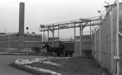 Hungary, Baracska, a Baracskai Börtön és Fogház udvara., 1985, Urbán Tamás, Horse-drawn carriage, Fortepan #126055