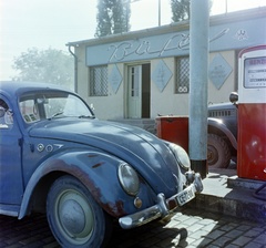 1963, Bauer Sándor, színes, Volkswagen-márka, benzinkút, Volkswagen Bogár, büfé, Fortepan #126342