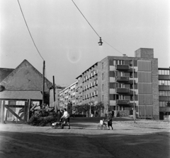 Magyarország, Budapest II., Horvát utca a Kacsa utcától a Margit körút (Mártírok útja) irányába nézve., 1969, Bauer Sándor, Budapest, Fortepan #126388