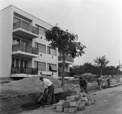 Magyarország, Budapest II., Gábor Áron utca 66., 1969, Bauer Sándor, Budapest, Fortepan #126400