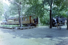 Magyarország, Városliget, Budapest XIV., park a Közlekedési Múzeum mellett, Múzeum Eszpresszó az Orient expressz 1912-ben készült étkezőkocsijában. Jobbra egy 1882-ben gyártott gőzmozdony látható., 1980, Bauer Sándor, színes, Budapest, Fortepan #126405