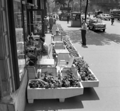 Magyarország, Budapest VI., Nagymező utca 17., a Budapest Táncpalota (Moulin Rouge) eszpresszójának terasza az Andrássy út (Népköztársaság útja) felé nézve., 1968, Bauer Sándor, Budapest, Fortepan #126486