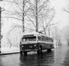 Magyarország, Városliget, Budapest XIV., 1950, Bauer Sándor, tél, hó, szovjet gyártmány, trolibusz, MTB-82, Budapest, Fortepan #126920