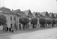 Szlovákia, Késmárk, Fő utca, 1956, Gyöngyi, Csehszlovákia, utcakép, fasor, zsindely, Fortepan #12700