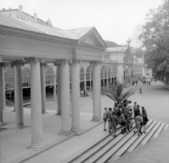 Czech Republik, Mariánské Lázne, Kolonnád., 1958, Gyöngyi, Czechoslovakia, stairs, palm tree, pillar, colonnade, Neo-Baroque-style, Anton Thurner-design, Georg Fischer-design, Cast-iron architecture, Hans Miksch-design, Julian Niedzielski-design, Fortepan #12705