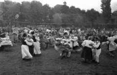 Magyarország,Balaton, Badacsony, Badacsonytomaj, szüreti játékok, az Ecsédi lakodalmas című táncjátékhoz kapcsolódó lakodalmi ebéd és táncbemutató., 1965, Bauer Sándor, Fortepan #127138