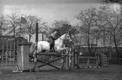 Magyarország, Budapest VIII., Kerepesi út 7., Nemzeti Lovarda (Tattersall). A háttérben balra a Keleti pályaudvar csarnoka látszik., 1954, Bauer Sándor, lovassport, Budapest, Fortepan #127678