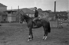 Magyarország, Budapest VIII., Kerepesi út 7., Nemzeti Lovarda (Tattersall). A háttérben a Keleti pályaudvar csarnoka látszik., 1954, Bauer Sándor, ló, Budapest, Fortepan #127681