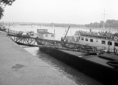 Slovakia, Bratislava, Duna-part (Rázusovo nábrežie), kikötő, háttérben a vasúti híd., 1958, Gyöngyi, Czechoslovakia, ship, barge, port, Danube, Fortepan #12775