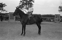 Magyarország, Budapest X., Albertirsai úti vásár területe, Országos Mezőgazdasági Kiállítás és Vásár., 1955, Bauer Sándor, Budapest, lovas, Fortepan #127791