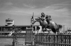 Magyarország, Budapest VIII., Kerepesi út, Ügetőpálya., 1955, Bauer Sándor, lovassport, Budapest, Fortepan #127837