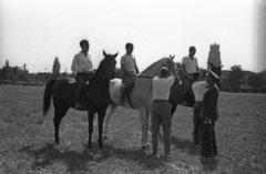 Magyarország, Budapest VIII., Kerepesi út, Ügetőpálya, háttérben az OTI székház tornya., 1955, Bauer Sándor, lovassport, Budapest, Fortepan #127842