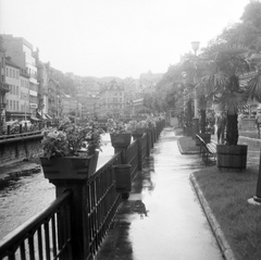 Czech Republik, Karlovy Vary, a Mlýnské nábřeží és a Teplá folyó, szemben jobbra a Malomkút kolonnád (Mlýnská kolonáda, Mühlbrunnkolonnade)., 1958, Gyöngyi, Czechoslovakia, river, palm tree, trash can, colonnade, health resort, Fortepan #12786