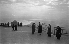 Magyarország, Gellérthegy, Budapest XI., kilátás a Felszabadulási Emlékműtől a Petőfi híd felé., 1955, Bauer Sándor, Budapest, Lágymányos, Fortepan #127862