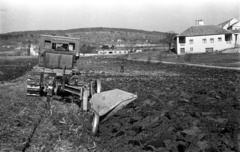 Magyarország,Balaton, Csopak, jobbra a Paloznaki utca., 1957, Bauer Sándor, talajművelés, Fortepan #127933