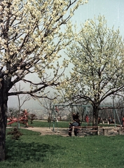 Szlovákia, Pozsony, Várkert, játszótér., 1956, Bauer Sándor, Csehszlovákia, játszótér, színes, Fortepan #127999