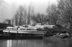 Magyarország,Balaton, Siófok, a Lelle, a Csopak és a Tihany, az első három balatoni vízibusz a sólyán., 1957, Bauer Sándor, vízibusz, Tihany hajó, Csopak hajó, Fortepan #128037