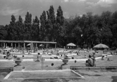 Hungary, Margit Islands, Budapest, Palatinus Strandfürdő., 1957, Bauer Sándor, pool, Fortepan #128046