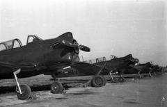 Hungary, Budaörs Airport, Budapest XI., Jakovlev Jak-18 Fürj típusú repülőgépek., 1957, Bauer Sándor, airplane, Yakovlev-brand, Budapest, Fortepan #128057