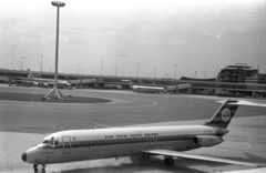 Hollandia, Amszterdam, Schiphol repülőtér., 1972, Bauer Sándor, repülőgép, repülőtér, KLM légitársaság, McDonnell Douglas-márka, McDonnell Douglas DC-9, Fortepan #128402