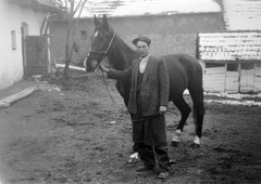 1954, Szent-tamási Mihály, falu, ló, udvar, Fortepan #12849