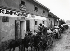 Magyarország, Hódmezővásárhely, a helyi földművesszövetkezet gabonaraktára., 1950, Bauer Sándor, szekér, beszolgáltatás, termelőszövetkezet, Fortepan #128511