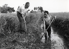 1947, Bauer Sándor, csatorna, öntözés, Fortepan #128519