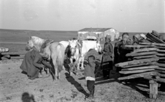 Mongolia, 1969, Bagi Gábor, Bagi Róbert, horse, shadow, kid, Fortepan #128599