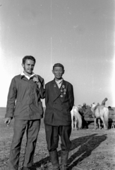 Mongolia, 1969, Bagi Gábor, Bagi Róbert, medal, Fortepan #128600