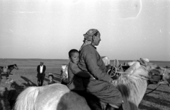 Mongolia, 1969, Bagi Gábor, Bagi Róbert, horse, rider, kid, Fortepan #128604