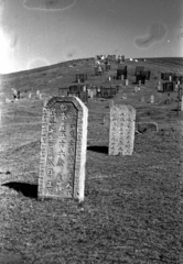 Mongolia, Ulánbátor, 1969, Bagi Gábor, Bagi Róbert, cemetery, Fortepan #128624