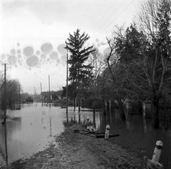 Magyarország, Sióagárd, Kossuth utca, szemben az 1956. márciusi jeges árvíz során ősszedölt házak., 1956, Borbély Éva, képarány: négyzetes, árvíz, Fortepan #128680