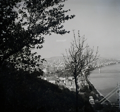 Magyarország, Gellérthegy, Budapest I., kilátás a budai Vár felé., 1942, Fortepan/Album014, Budapest, Fortepan #128771