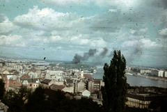 Magyarország, Budapest I., kilátás a Halászbástyáról a Margit-sziget felé., 1956, Heinzely Béla, színes, látkép, Budapest, Fortepan #129206