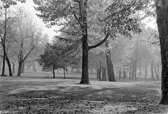 Magyarország, Városliget, Budapest XIV., 1957, Szent-tamási Mihály, park, Budapest, Fortepan #12929