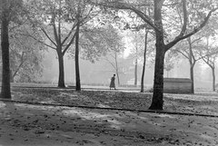 Magyarország, Városliget, Budapest XIV., Vajdahunyad vára., 1957, Szent-tamási Mihály, ősz, avar, Budapest, Fortepan #12930