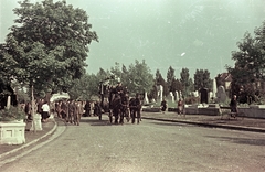 Magyarország, Budapest XII., Farkasréti temető., 1955, Horváth Miklós dr, Budapest, gyászhintó, Fortepan #129336