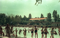 Magyarország, Margitsziget, Budapest, Palatinus Strandfürdő., 1953, Horváth Miklós dr, medence, fürdőruha, színes, életkép, fecskenadrág, Fortepan #129409