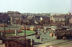 Magyarország, Budapest II., Széll Kálmán (Moszkva) tér., 1955, Horváth Miklós dr, villamos, Budapest, színes, köztéri óra, virágágyás, lépcső, Fortepan #129470