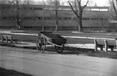 Magyarország, Margitsziget, Budapest, szemben a Palatinus Strandfürdő., 1957, Horváth Miklós dr, kordé, Fortepan #129483