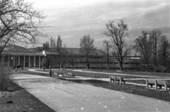 Magyarország, Margitsziget, Budapest, szemben a Palatinus Strandfürdő., 1957, Horváth Miklós dr, pad, park, Fortepan #129485