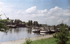 Magyarország, Budapest IV., Újpesti-öböl, szemben a Népszigeten a MAHART hajójavító., 1963, Horváth Miklós dr, Budapest, színes, Sopron hajó, Fortepan #129524